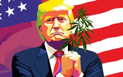 Latest Trump Weed Rumor – Trump Will Federally Deschedule and Decriminalize Cannabis, but Not Legalize It