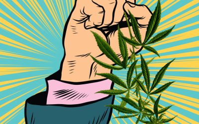 Exploring the Cannabis Revolution: A Blend of Science, Culture, and Opportunity