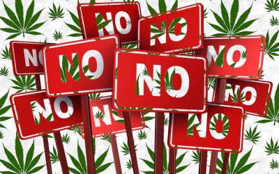 Trump’s Not So Cannabis Friendly Cabinet Picks – His VP, AG, Head of the CDC and FDA Nominees all Hate Legal Weed