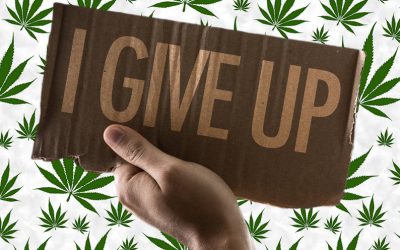 The Illicit Cannabis Market Will Always Win? – Calfornia Gives Up Fighting Black Market Weed, Asks for New Ideas!