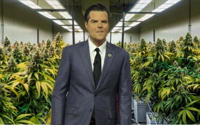 True or False, Matt Gaetz, Trump’s Pick for Attorney General, Will Legalize Marijuana in America?