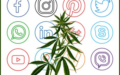 FB and IG Are Shutting Down Cannabis Accounts Left and Right, The Migration to X for Cannabis Brands Continues!