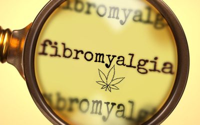 Fibromyalgia Patients Enjoy Long Term Benefits After Cannabis Medication Says New Medical Study