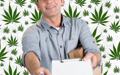 10 Factors to Consider When Choosing a Delivery Cannabis Service