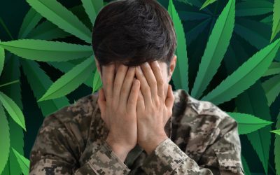 FDA Approves Landmark Clinical Trial for Veterans with PTSD and Smoking Cannabis