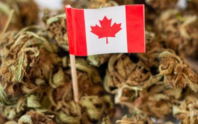 Health Canada Claims That Only 3% of the Cannabis Consumed by Canadians is from Illicit Sources, 97% from Legal Stores?