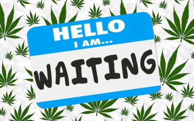 Cannabis Rescheduling No Longer a Done Deal? – DEA Judge Cancels Hearings on Marijuana Until At Least May 2025