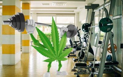 Why Does Cannabis Make Exercise So Much More Rewarding?