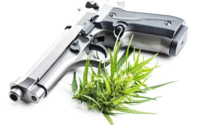 America’s Constitutional Conundrum: Guns and Ganja