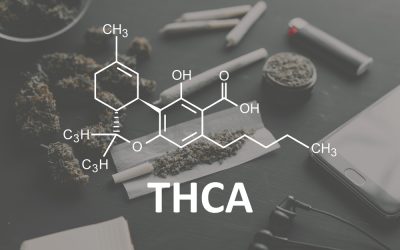 Maintaining The Highest Level of Quality and Freshness for THCa Products