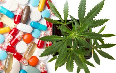 What are the 50 Most Prescribed Drugs in America? – The Cannabis Effect on Big Pharma’s Profit Machine