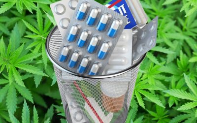 Not Just Alcohol Sales Dropping, Anxiety Medication Prescriptions Plummet in States with Legal Cannabis Programs