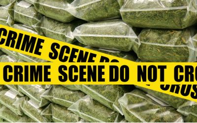 The Great 4/20 Heist – 600 Pounds of Confiscated Weed Stolen for Colorado State Police Station