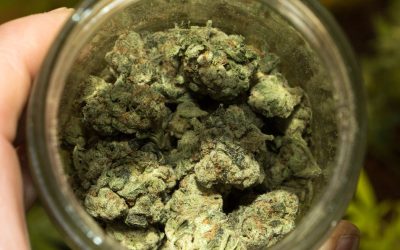 How Much Does an Ounce of Weed Cost Right Now? – What Should You Be Paying for an Ounce of Cannabis?