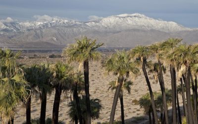 Coachella’s Next Big Thing Is Here