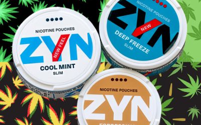 Could a Zyn-Like Cannabis Pouch Save the US Marijuana Industry?