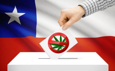 Texas Senate Votes to Kill Democracy (But Only If It Involves Weed)