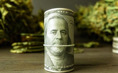 The DEA’s Hypocrisy Exposed: Crushing Legal Innovation While Drug Cartels Flourish