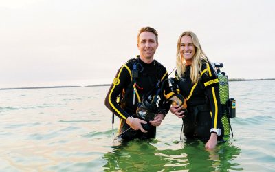 The Cannabis of the Sea