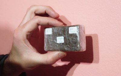 Morocco: The World’s Largest Hash Exporter