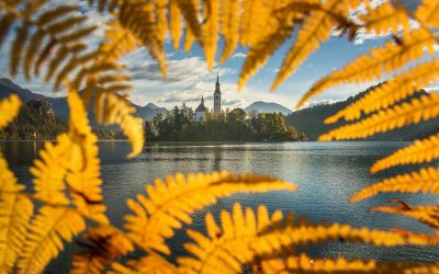 Slovenian Parliament Introduces Historic Medical Cannabis Measure