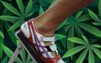 The New Cannabis Athletes – How Marijuana Users Are Crushing Fitness Stereotypes