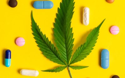 The Trillion-Dollar Question: Why Big Pharma’s Monopoly Fights to Keep Cannabis Illegal?