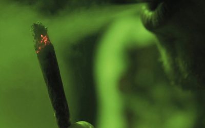 The Cancer-Fighting Plant They Don’t Want You to Know About: Massive Study Reveals Truth about Cannabis and Cancer