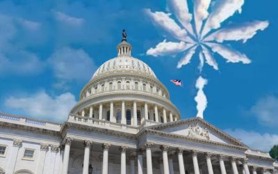 $24 Billion in Tax Revenue and Growing – Why Congress May Bypass the DEA and Legalize Cannabis Directly