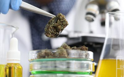 Designer Cannabis: How 33 Genetic Markers Will Revolutionize the Future of Weed