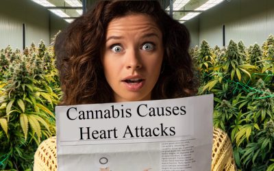 The Great Cannabis Heart Scare – What We Now Know After The Real Data Was Released