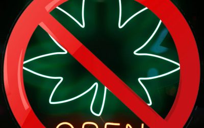 Trump to Try and Shut Down Medical Marijuana Programs Across America Next?