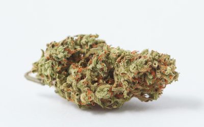 Marijuana Is a Great Sex Enhancement, But Microdosing Is Key