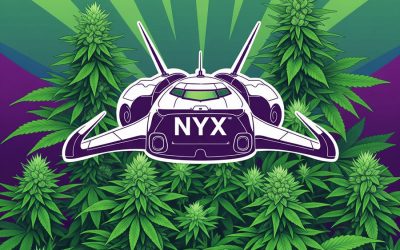 The Nyx Space Capsule Carrying Cannabis Plants and Human Remains Crashes Back to Earth, Now What?