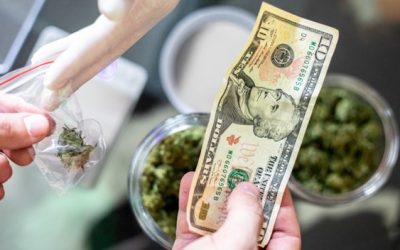 How Marko Glisic Guides Cannabis Businesses to Switch to Digital Payments