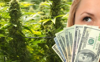 The One Big Beautiful Bill Act and Cannabis – How Will New Tariffs Effect the Weed Industry?