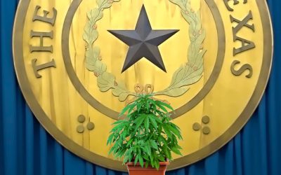 THC Plot Twist in Texas – Gov. Abbott’s Surprising THC Veto and What It Means for Weed in the Lone Star State